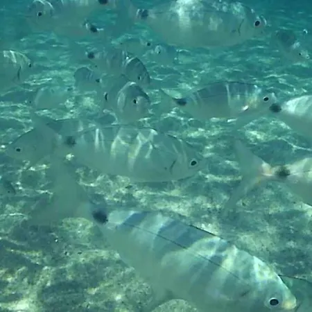 Casa Forgia Ampia Сasa de vacaciones