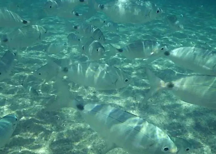 Casa Forgia Ampia Holiday home